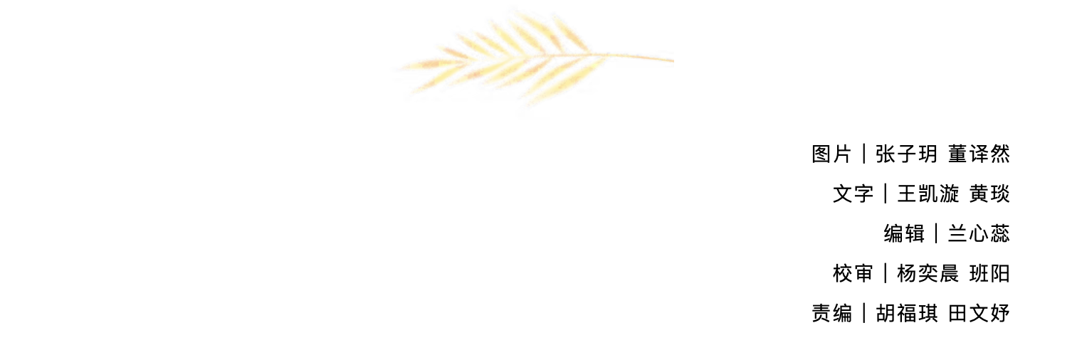 f6aaa838899340959cd0d53b8483c281.png